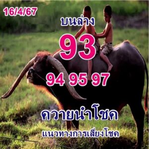 หวยควายนำโชค 16/4/67