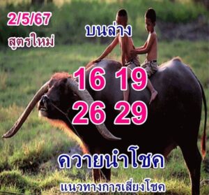 หวยควายนำโชค 2/5/67