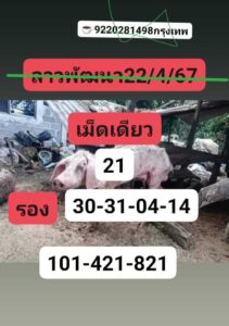 แนวทางหวยลาว 22/4/67 ชุดที่ 3