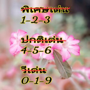 แนวทางหวยฮานอย 15/4/67 ชุดที่ 2