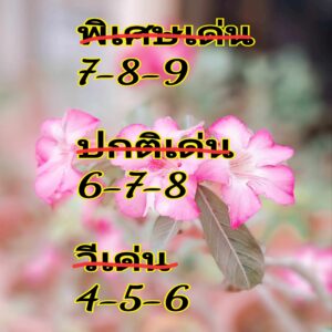 แนวทางหวยฮานอย 23/4/67 ชุดที่ 2