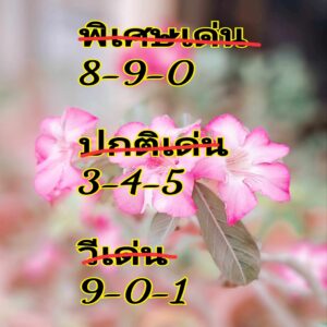 แนวทางหวยฮานอย 30/4/67 ชุดที่ 2