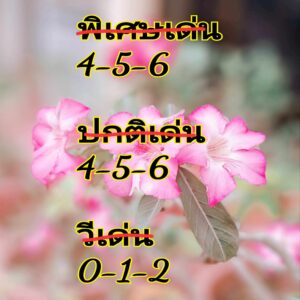 แนวทางหวยฮานอย 16/4/67 ชุดที่ 4