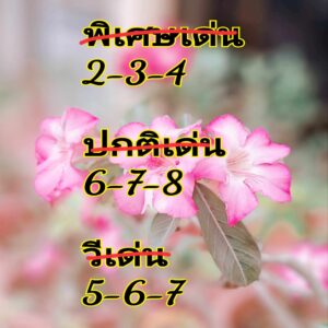 แนวทางหวยฮานอย 18/4/67 ชุดที่ 4