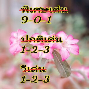 แนวทางหวยฮานอย 27/4/67 ชุดที่ 4