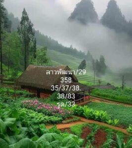 แนวทางหวยลาว 29/5/67 ชุดที่ 2