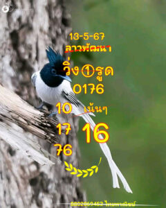 แนวทางหวยลาว 13/5/67 ชุดที่ 3