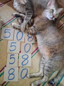 แนวทางหวยลาว 15/5/67 ชุดที่ 8