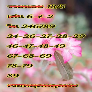 แนวทางหวยฮานอย 13/5/67 ชุดที่ 2