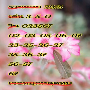 แนวทางหวยฮานอย 29/5/67 ชุดที่ 2