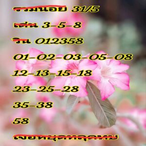 แนวทางหวยฮานอย 31/5/67 ชุดที่ 2