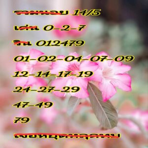 แนวทางหวยฮานอย 14/5/67 ชุดที่ 3