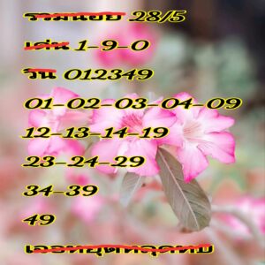 แนวทางหวยฮานอย 28/5/67 ชุดที่ 3