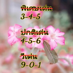 แนวทางหวยฮานอย 14/5/67 ชุดที่ 4