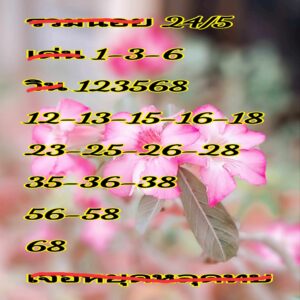 แนวทางหวยฮานอย 24/5/67 ชุดที่ 4