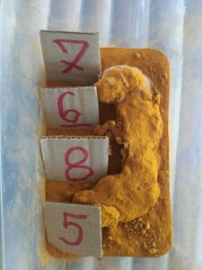 แนวทางหวยฮานอย 15/5/67 ชุดที่ 6