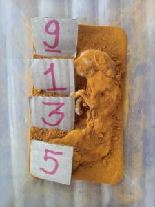 แนวทางหวยฮานอย 24/5/67 ชุดที่ 9