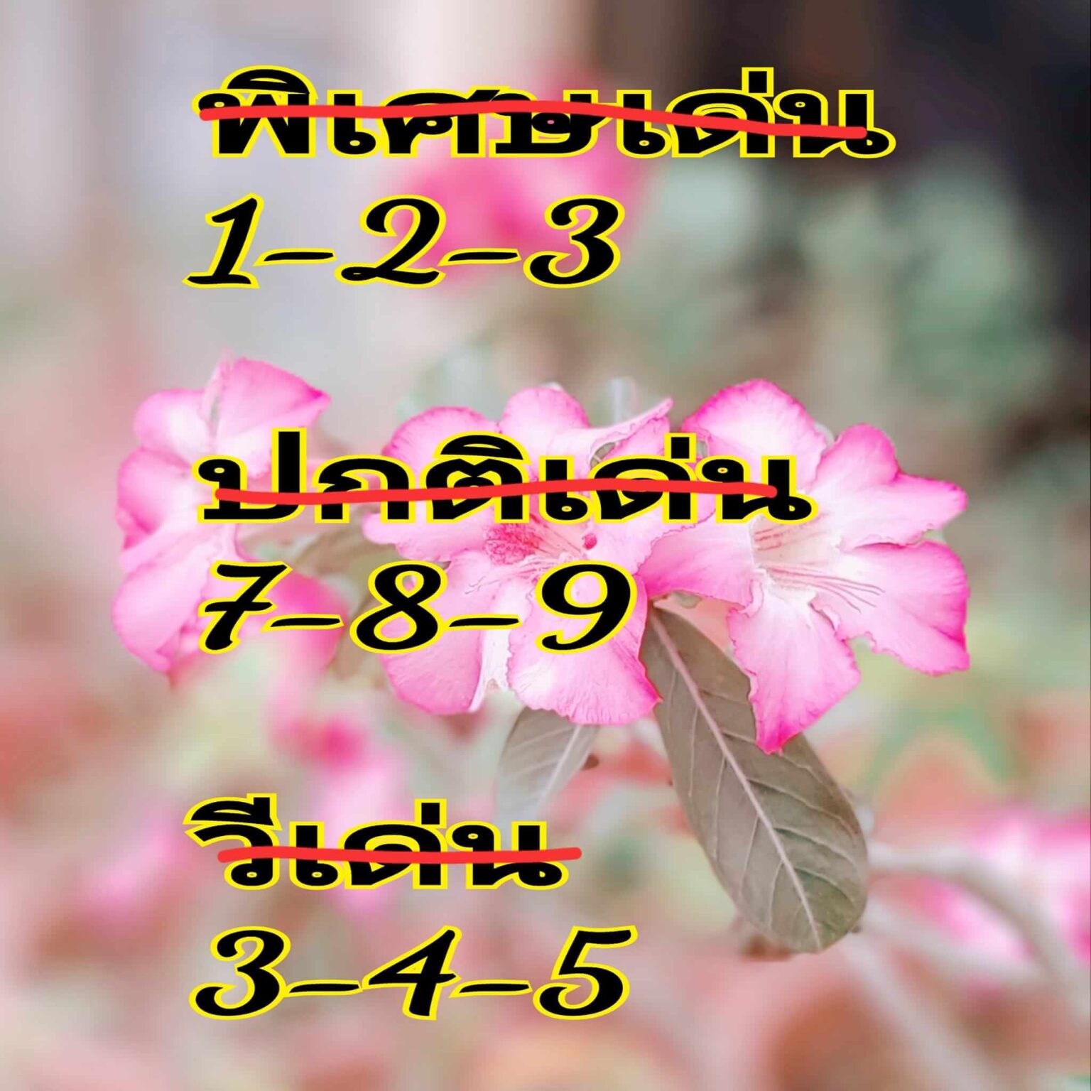 แนวทางหวยฮานอย 14/6/67 สรุปเลขเด็ด หวยฮานอยพารวย หวยล่าสุด