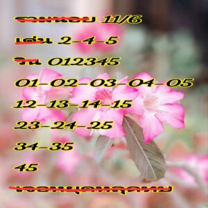 แนวทางหวยฮานอย 11/6/67 ชุดที่ 3