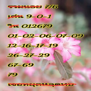 แนวทางหวยฮานอย 7/6/67 ชุดที่ 5