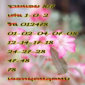 แนวทางหวยฮานอย 8/7/67 ชุดที่ 2