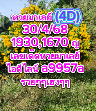 แนวทางหวยมาเลย์ 30/4/68-3